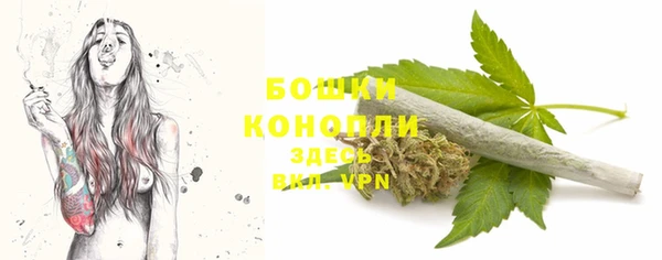 метадон Гусиноозёрск