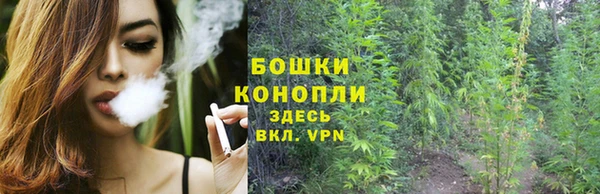 PSILOCYBIN Усолье-Сибирское