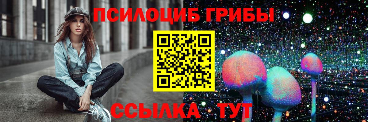 Видное  Псилоцибиновые грибы ЛСД  как найти закладки  Вход с VPN  Псилоцибиновые грибы мухоморы 