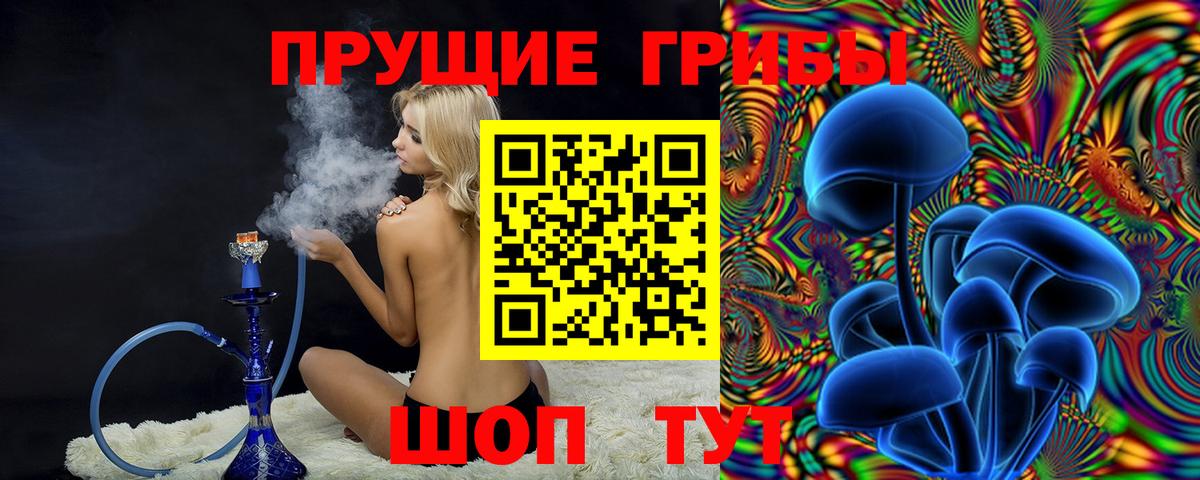 Галлюциногенные грибы Psilocybe Видное